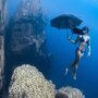 Лучшие подводные фотографии 2017 года