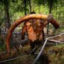 Охотники на мамонтов: черные копатели Сибири