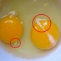 Если вы собираетесь съесть яйцо с такими белесыми следами на желтке - вы должны узнать правду.Жесть!