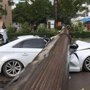 В Китае кран упал на ехавшую по дороге Audi