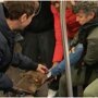Питбуль напал на женщину в вагоне нью-йоркского метро