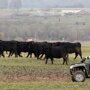 Lantbrukets Affärstidning (Швеция): Россия сделала ставку на самообеспечение и преуспела