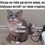 Прикольные и смешные картинки