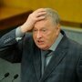 В этой истории прекрасно всё)