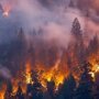 Леса Сибири будут полыхать до середины осени