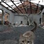 Фильм Юрия Дудя о Беслане