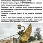 Солянка от 17.01.2020