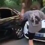 "Посмотри на номера, дебил": в Сочи водитель Mercedes оскорбил полицейских и поплатился