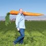 Рекордсмены среди овощей: какая самая большая морковка в мире и кто её вырастил