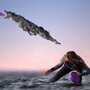 International Photography Awards 2020