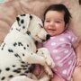 35 трогательных доказательств того, что собака - лучший друг для ребенка