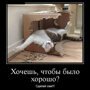 Образ кота в демотиваторах