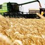 Гоним зерно в сотни стран, а у самих хлеб дорожает: Что происходит с ценами