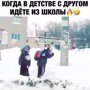 Смешные и&nbsp;добрые видео