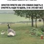 Солянка от 30.10.2021