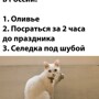Солянка от 23.12.2021