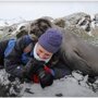 Обнимашки: любопытный тюлень улёгся рядом с фотографом
