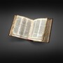 Старейшую Библию продали на аукционе за 3 миллиарда рублей