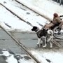 Мальчик помог женщине с инвалидностью, застрявшей на трамвайных путях
