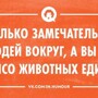 Солянка от 27.02.2024