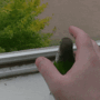 Просто гифки, всякие и&nbsp;разные