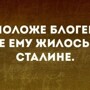 Солянка от 22.08.2024