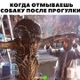 Доброго вечера среды!