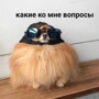 Солянка от 08.03.2025