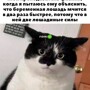 Заходи, поржОм