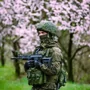 Политическая солянка. Часть 349