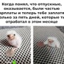 Не ищите здесь смысл. Здесь в основном маразм