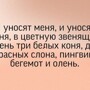 Солянка от 28.05.2025