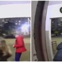 Агрессивный пёс напал на собаку девочки-подростка в Омске