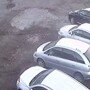 Момент нападения медведя на автомобилиста попал на видео