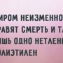 Солянка от 29.09.2025