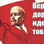 Лишь о политике