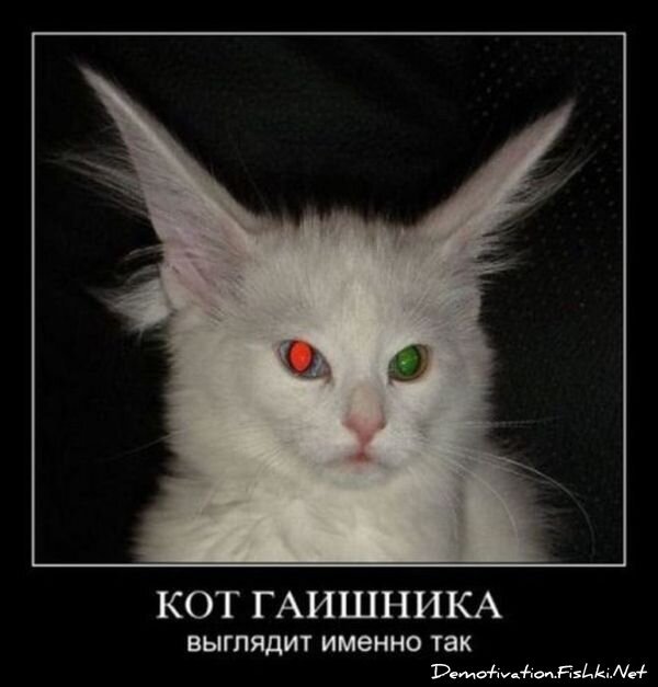 Смешной демотиватор от zubrilov за 18.01.2012 №100195
