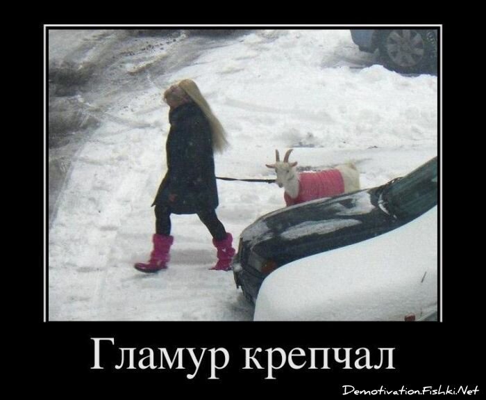 Смешной демотиватор от zubrilov за 20.01.2012 №100520
