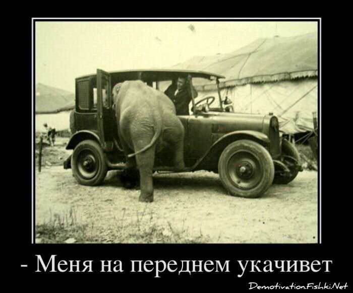 Демотиватор