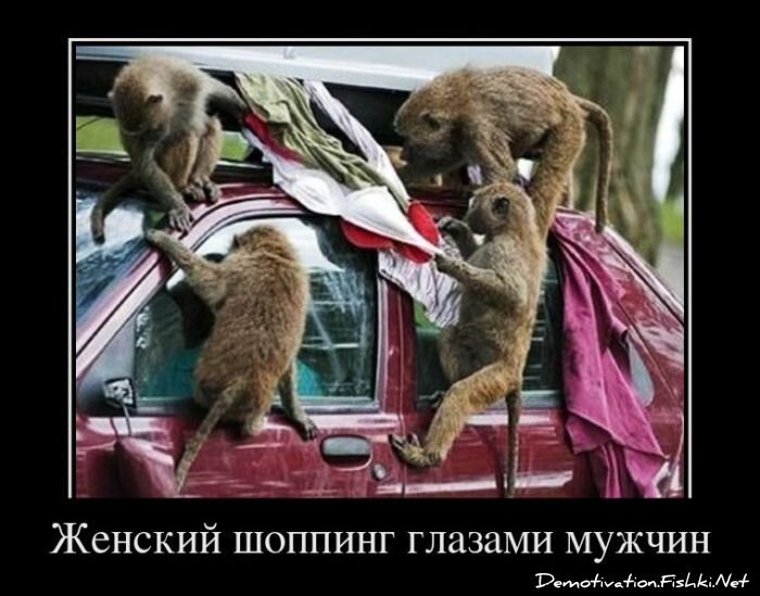 Демотиватор