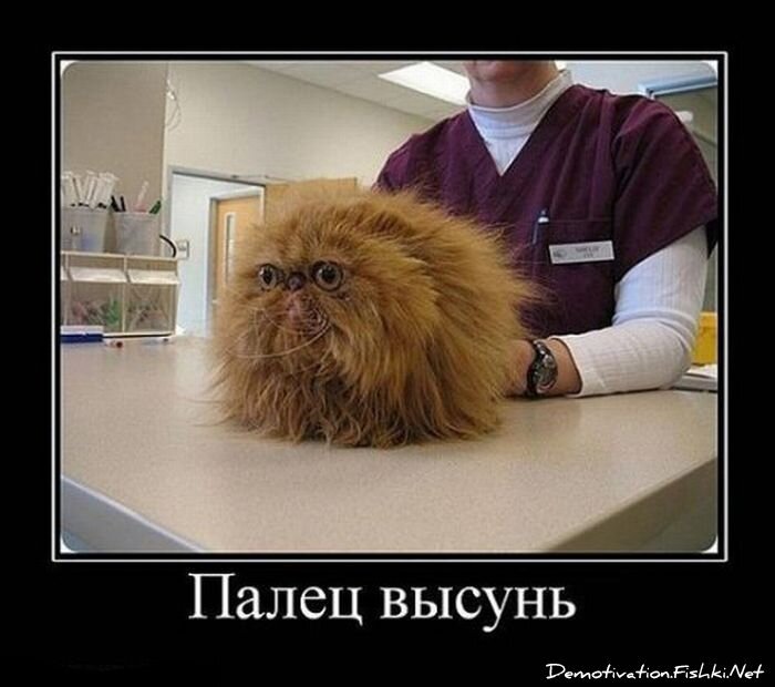 Смешной демотиватор от zubrilov за 25.01.2012 №100846