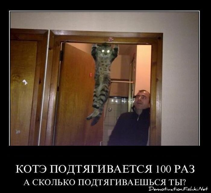 Смешной демотиватор от zubrilov за 25.01.2012 №100850