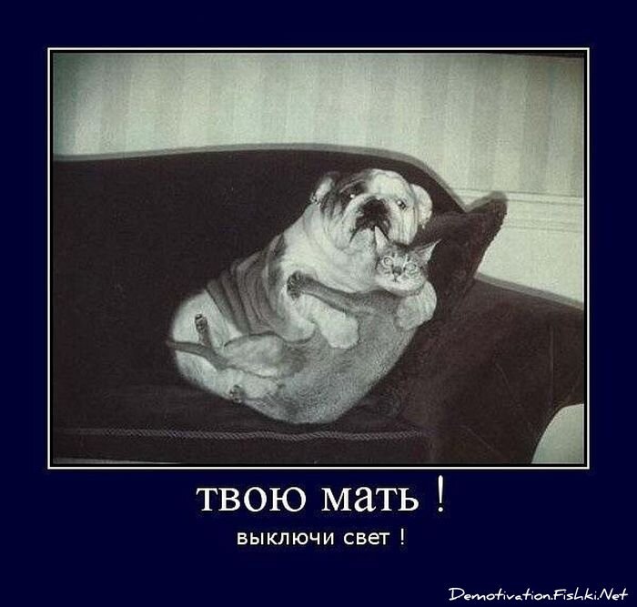 Смешной демотиватор от zubrilov за 25.01.2012 №100852