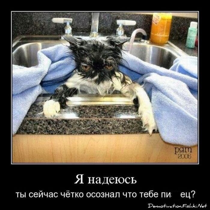 Смешной демотиватор от zubrilov за 25.01.2012 №100879
