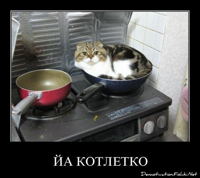 Смешной демотиватор от zubrilov за 27.01.2012 №101292