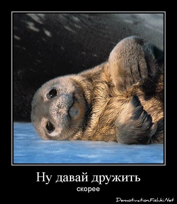 Смешной демотиватор от zubrilov за 27.01.2012 №101298