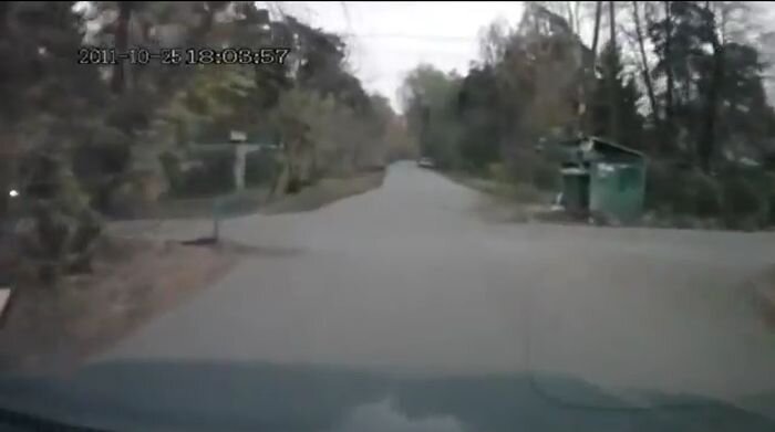 Видео дня
