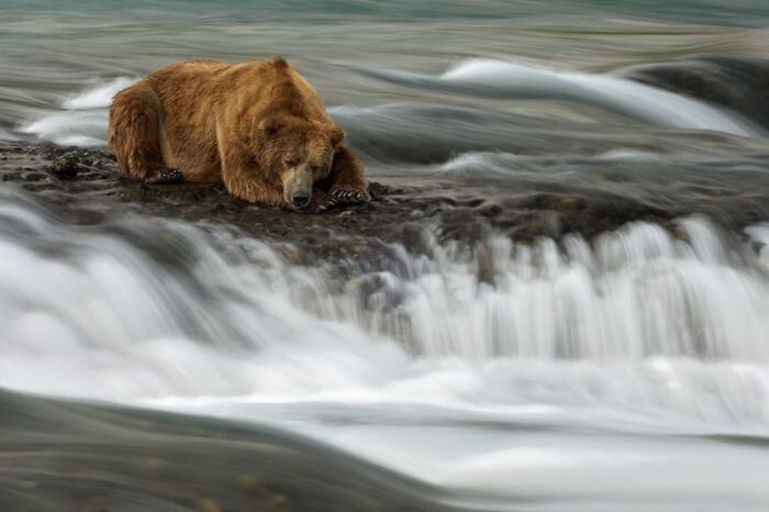 Свежий фотоприкол