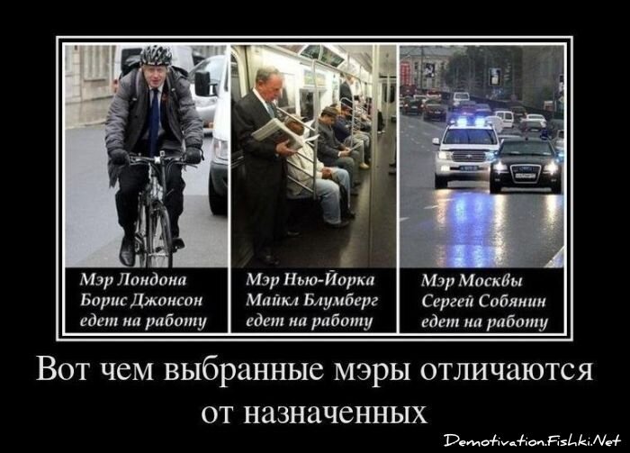 Демотиватор