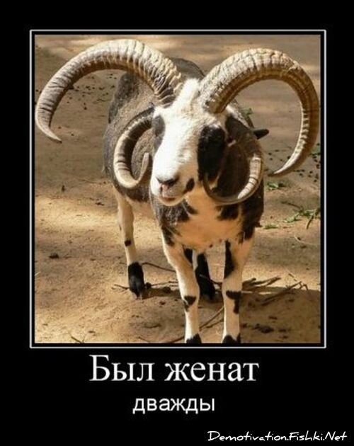 Смешной демотиватор от zubrilov за 03.02.2012 №102010